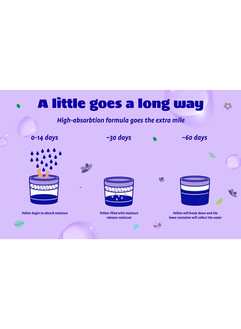 Originally Yellow Moisture Absorber Lavender - Image 5
