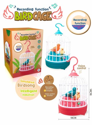 (Pack of 2 ) Hanging Singing Bird chirping and real time talk recording Toy - pzsku/ZD45CF78EC99E777EBE3AZ/45/_/1729347791/e159f314-9c27-4db0-9757-25131a8096dd
