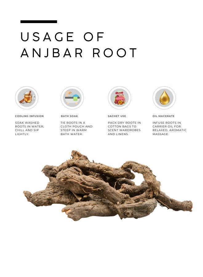 أباميك مسحوق جذور أنجبار من أوافي ميل | جذر عشبة البستورت/عشبة العقدة المطحون ناعماً لشاي الأعشاب والمستحضرات الصيدلانية المنزلية - 500 غرام | 17.6 أونصة - Image 3
