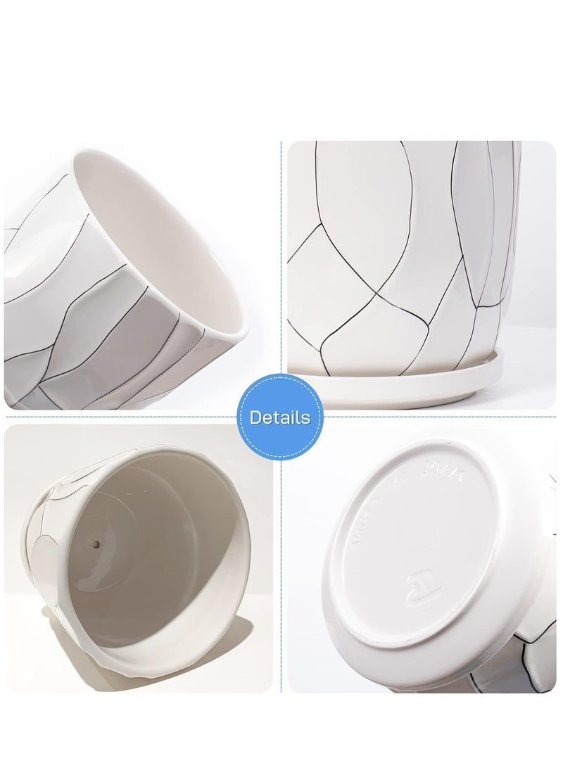 ڤسيل24 وعاء نباتات عصارية من السيراميك الأبيض مع قاعدة وفتحة تصريف، أحجام مختلفة، وعاء سيراميك للحديقة للاستخدام الداخلي والخارجي - Image 3