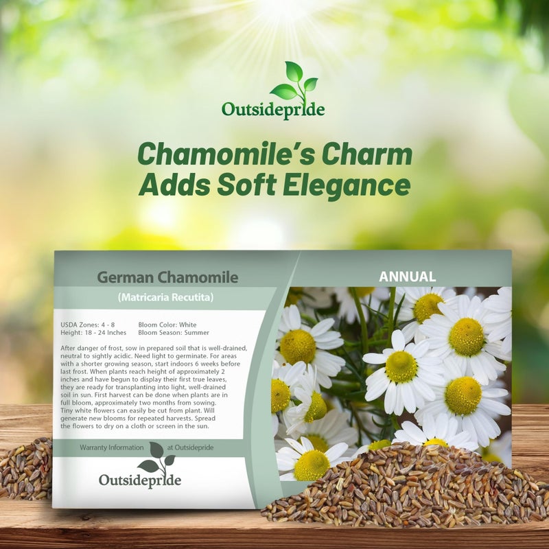 Outsidepride 5000 Seeds Perennial German Chamomile Herb Garden Seed for Planting - Image 4