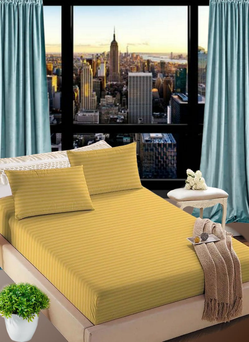 Blueberry Golden Extra Deep Pocket Double Size Sheets Cotton 3 Piece Sheet Set 150x200+25cm - Image 1