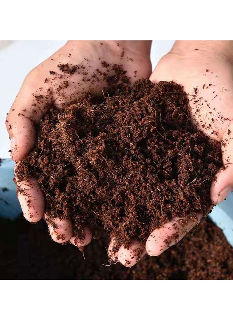 Generic - Compressed Coco Peat Soil Block – 20x10x2.5cm Coconut Shell Growing Medium for Seed Starting, Gardening, Potting, and Organic Plant Care – Expands with Water – Eco-Friendly Peat Moss Alternative - Image 1