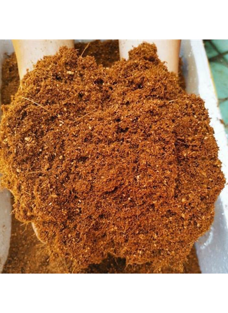 Generic - Compressed Coco Peat Soil Block – 20x10x2.5cm Coconut Shell Growing Medium for Seed Starting, Gardening, Potting, and Organic Plant Care – Expands with Water – Eco-Friendly Peat Moss Alternative - Image 1