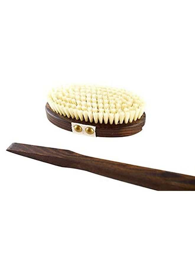 SHASH Since 1869 Hand Made In Germany 100% Boar Bristle Body Brush Gently Exfoliates Skin For A Softer Smoother Complexion Dry Brush Body Scrubber Helps Promote Circulation For A Healthy Glow - Image 5