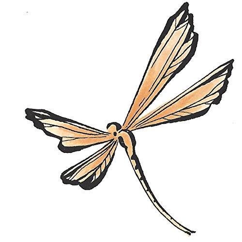 Tombow 56618 Dual Brush Pen Art Marker, 991 - Light Ochre, 1-Pack. Blendable, Brush and Fine Tip Marker - Image 3