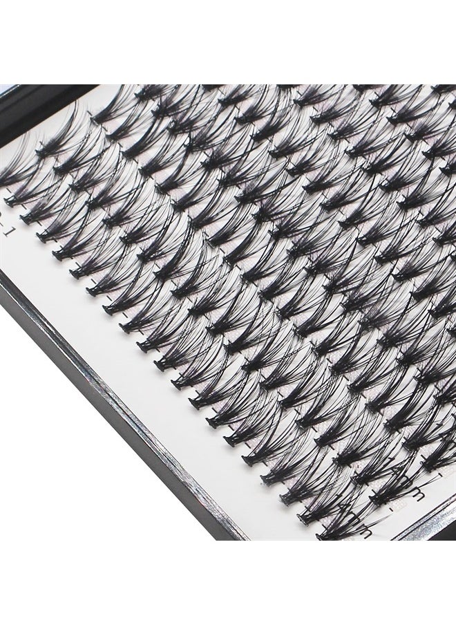 Bodermincer 10D/20D/30D/40D/50D Cluster to Choose Large Tray 240pcs D Curl 8-22mm to Choose Professional Makeup Individual Cluster EyeLashes Grafting Fake False Eyelashes Eyelash Extension Individual  - Image 1
