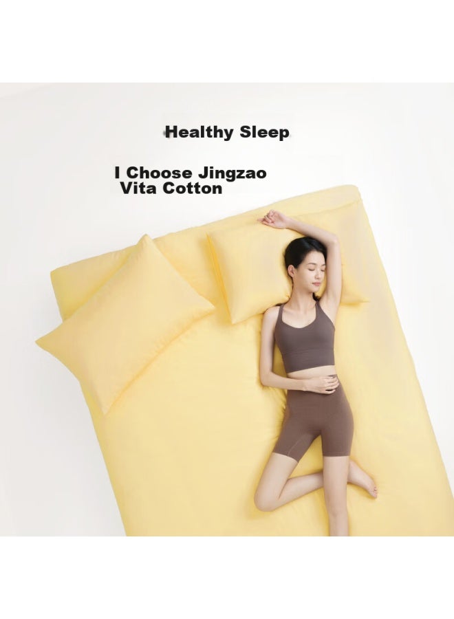 Vita Cotton Bed Sheet, 100% Pure Cotton Class A Antibacterial All-cotton Bed Cover, Single Piece 230x250cm, Grape Purple - Image 1
