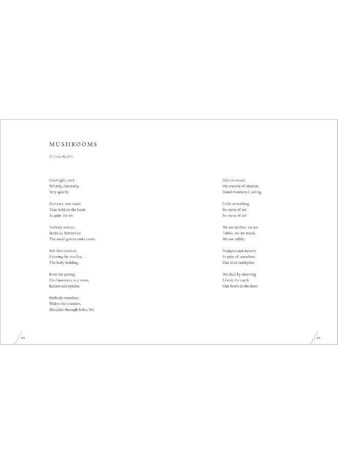 null - The Universe in Verse: 15 Portals to Wonder through Science and Poetry - Image 1