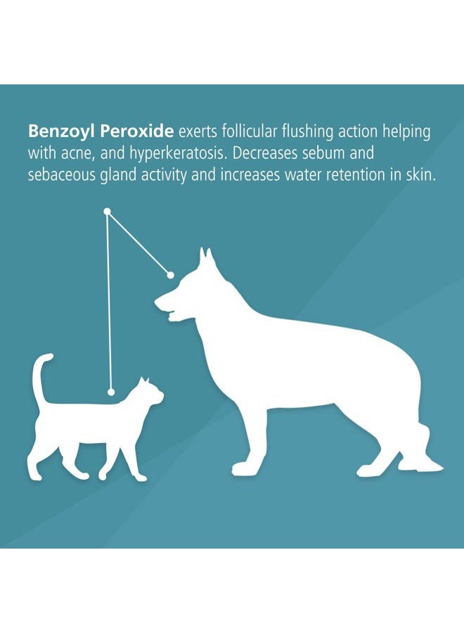 Pet MD Benzoyl Peroxide Medicated Shampoo for Dogs and Cats, Effective for Seborhhea, Dandruff, Mange, Itch Relief, Acne and Folliculitis, Citrus Scent, 12 oz. - Image 3