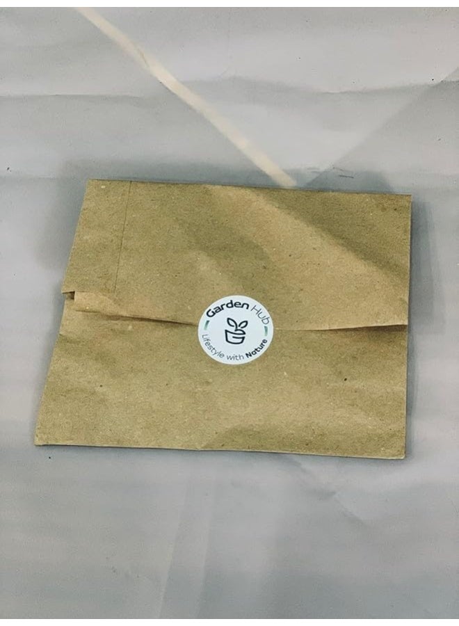 Natural Carrot Seeds for Planting - Image 2