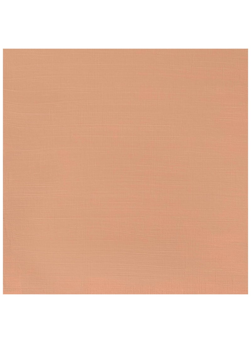 WINSOR & NEWTON Galeria Acrylic Colour Paint Tube 60ml Content Pale Terracotta - Image 2