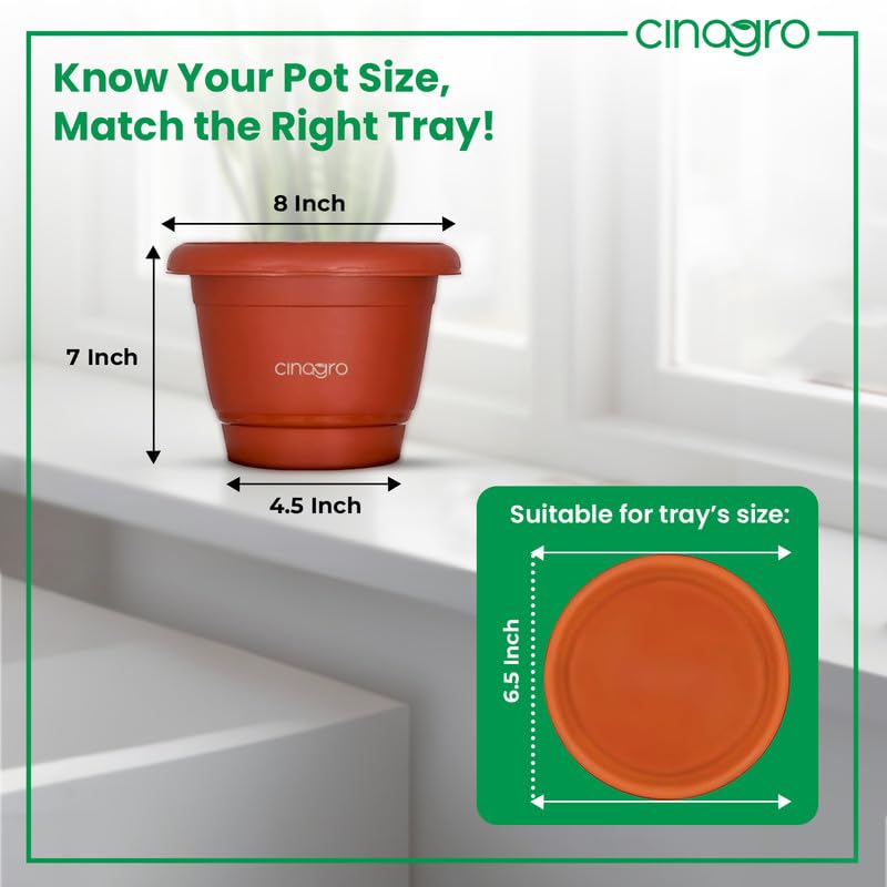 CINAGRO Plastic Round Pot, 8 inch - Pack of 6, Fits 6.5 inch Bottom Tray, Gamla Pot, UV Protected Planter, Heavy-Duty, Durable Plant Container, Gamla for Indoor Home Decor & Outdoor Garden - Image 4