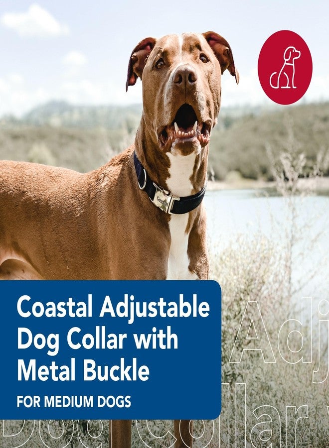 Coastal Pet Adjustable Dog Collar with Metal Buckle - Comfortable Fade-Resistant Dog Collar with Snap Lock - Perfect for Walking & Tie Outs - Lime - 1" x 14"-20" - Image 2