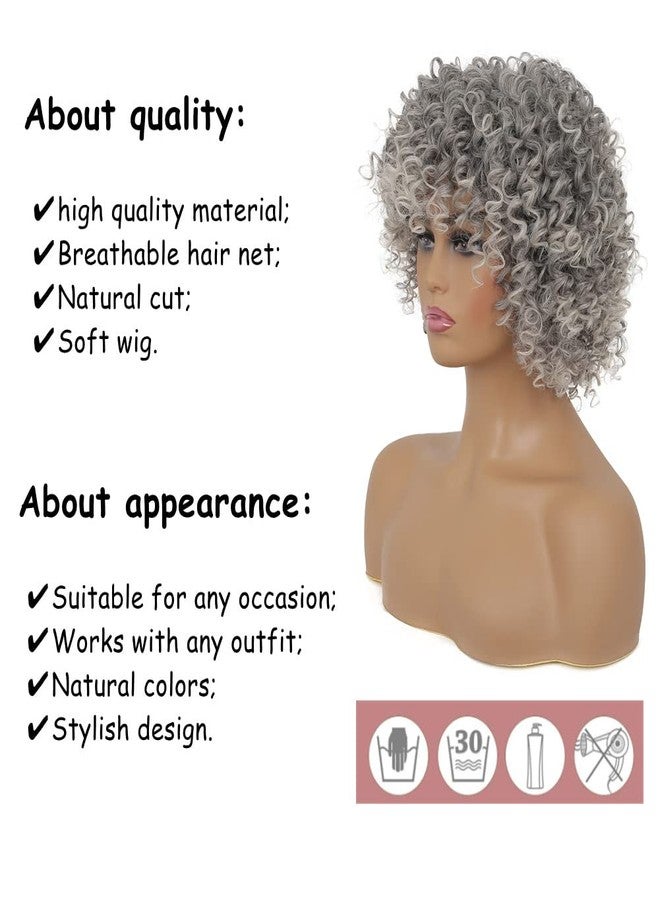 تسيسيس شعر مستعار قصير مجعد رمادي للنساء من تسيس، شعر مستعار صناعي رمادي كثيف ومتدرج مع غرة، مظهر طبيعي، مناسب للاستخدام اليومي، مناسب للتنكر والهالوين. - Image 4