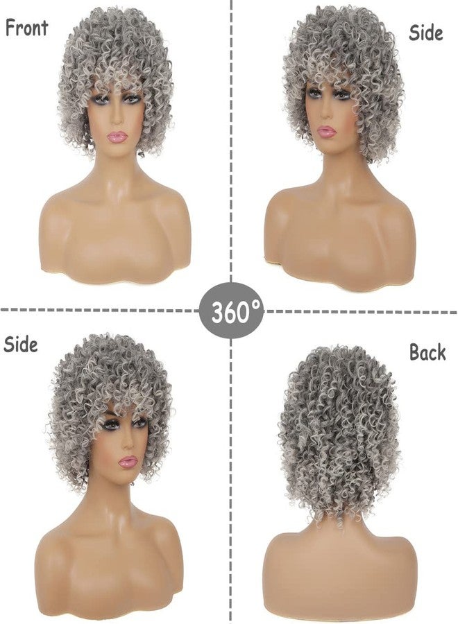 تسيسيس شعر مستعار قصير مجعد رمادي للنساء من تسيس، شعر مستعار صناعي رمادي كثيف ومتدرج مع غرة، مظهر طبيعي، مناسب للاستخدام اليومي، مناسب للتنكر والهالوين. - Image 3