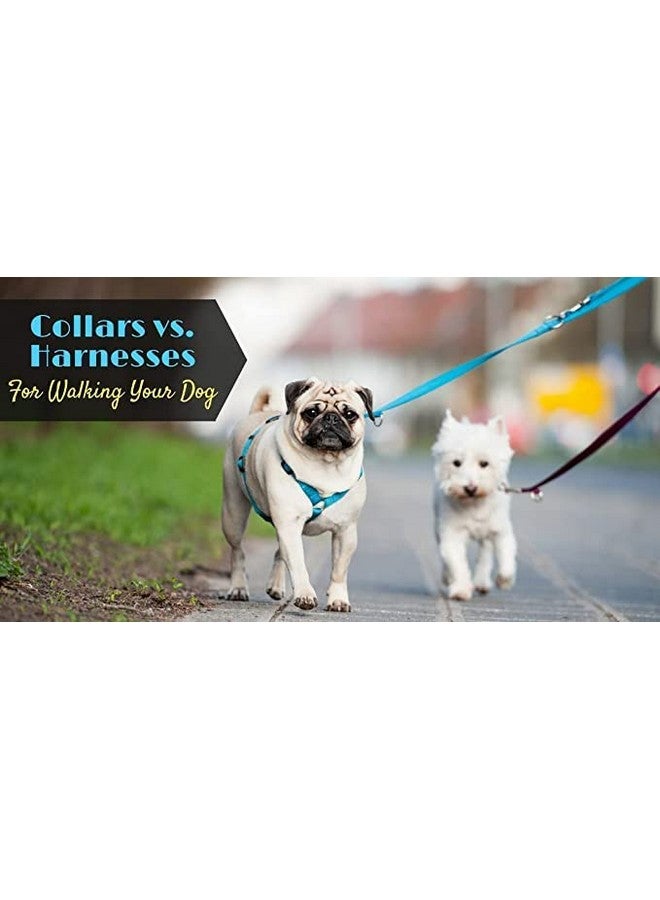 طقم حزام ومقود من النايلون للكلاب، طقم حزام ناعم قابل للتعديل مطبوع عليه مخلب عظمي مقاس 15 مم مع مقود بخطاف معدني (أسود) - Image 5