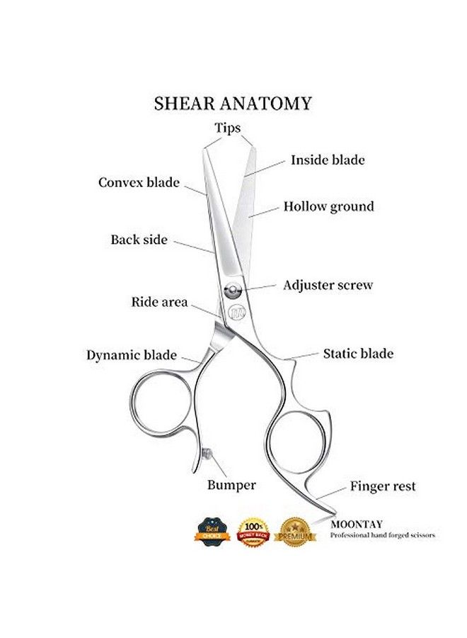 Moontay 6.0" Hair Cutting Shears With Large Finger Holes Professional Barber Stylist Scissors Salon Hair Cutting Scissors 440C Japanese Stainless Steel Silver - Image 5