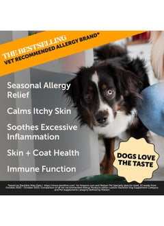 Pet Honesty Dog Allergy Relief Salmon Oil AntiItch For Dogs, Itch Relief & Omega3 For Dogs, Dog Skin And Coat Supplement, May Reduce Normal Shedding & Itching, Joint, Brain & Heart Health (16 Oz)  - Image 2