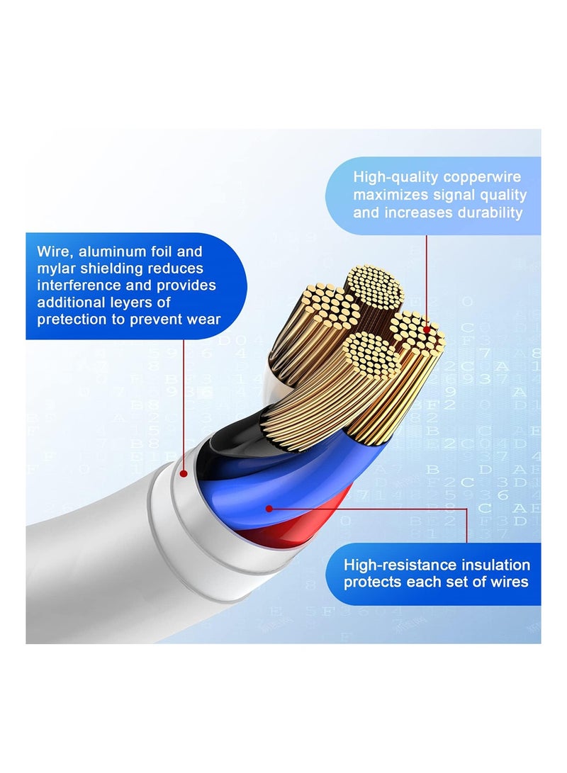 Gasin Type C to Lighting Fast Charging Cable 2M - Image 2