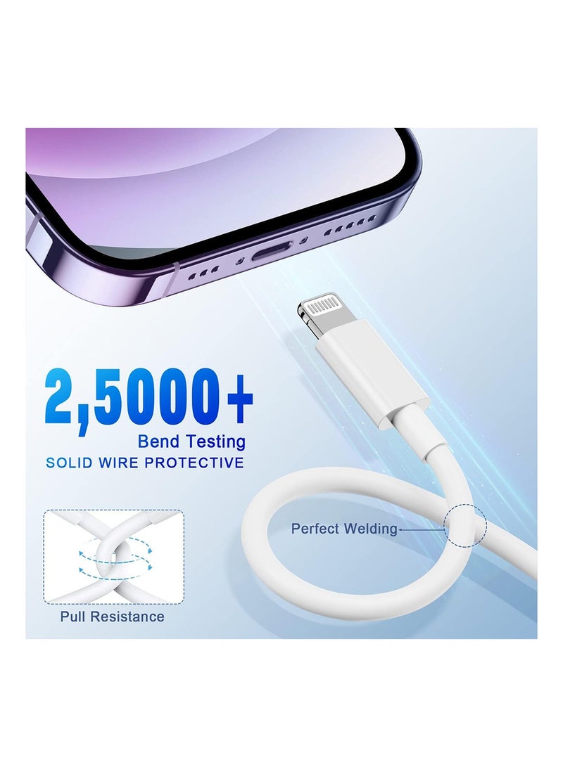 Gasin Type C to Lighting Fast Charging Cable 2M - Image 3