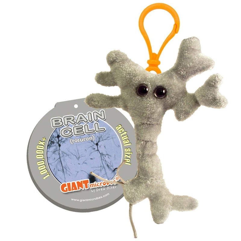 Giant Microbes GIANTmicrobes Brain Cell Plush Keychain, Neuron Plush, Neuroscience Gift, Neurology Gifts, Science Plushies, Neuron Model Anatomy, Psychology Gifts, Psychology Decor, Brain Gift, TBI, Bag Charms - Image 2