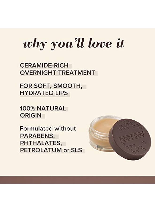 Burt's Bees Lip Care Moisturizing Overnight Intensive Treatment Natural Ultra Conditioning Moisturizer 0.25 Ounce (Packaging May Vary) - Image 5