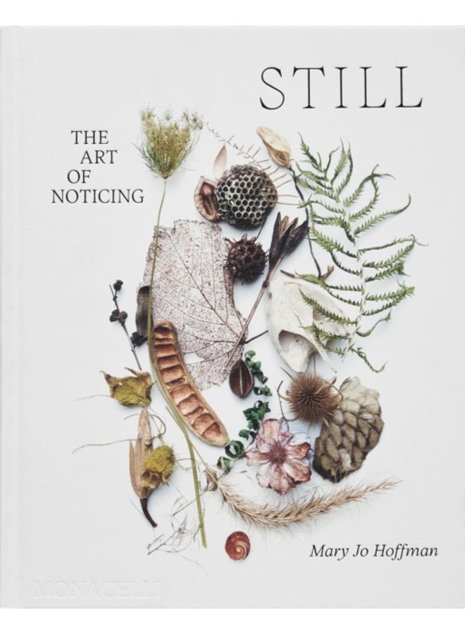 STILL : The Art of Noticing