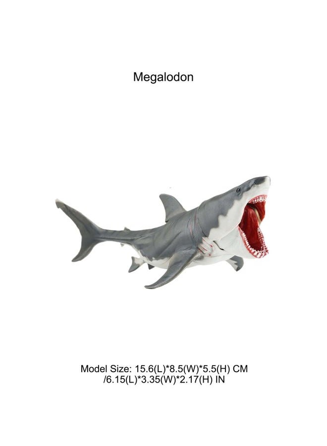 AENIMELY Realistic Megalodon Shark Toy – Movable Jaw Ocean Animal Figurine for Kids – Educational Sea Life Model, STEM Learning Gift, Shark Display Decor - Image 2