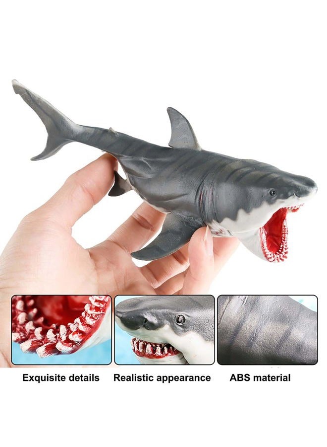 AENIMELY Realistic Megalodon Shark Toy – Movable Jaw Ocean Animal Figurine for Kids – Educational Sea Life Model, STEM Learning Gift, Shark Display Decor - Image 4
