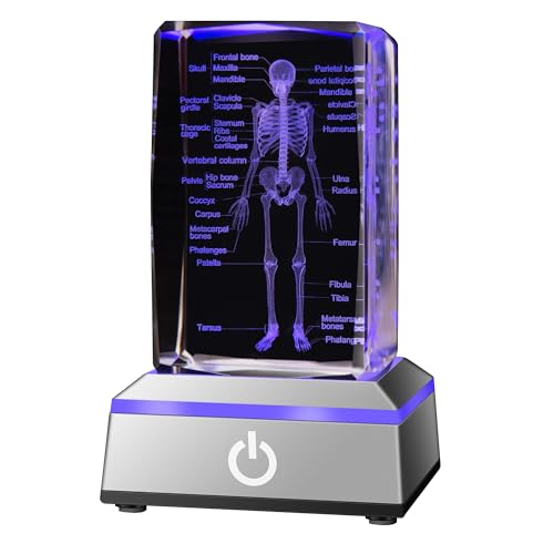 IFOLAINA 3D Human Skeleton Model Anatomy Gifts Crystal Labeled Skeleton Model Medical Figurines Bone Doctor Stuff Named Laser Engraved Gift for Med Biology Students - Image 1