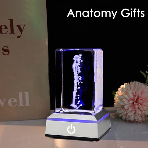 IFOLAINA 3D Human Skeleton Model Anatomy Gifts Crystal Labeled Skeleton Model Medical Figurines Bone Doctor Stuff Named Laser Engraved Gift for Med Biology Students - Image 5