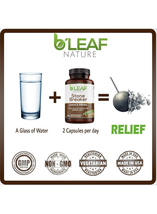 b'leaf NATURE Stone Breaker Chanca Piedra Extract 1000mg - Urinary Tract and Gallbladder Support - 100 Vegetarian Capsules by B’Leaf Nature - Image 3
