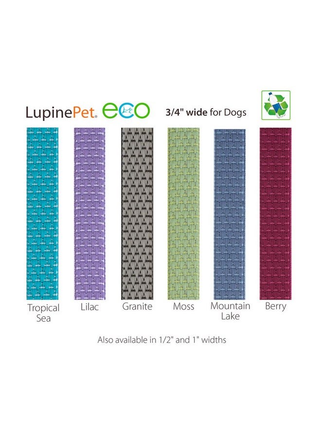 طوق كلب كبير من مجموعة Lupine ECO بعرض 3/4 بوصة قابل للتعديل من 15 إلى 25 بوصة - pzsku/ZD47851F66C2683DF588CZ/45/_/1737032026/05a22c44-b321-420d-85e4-f0f681faee6e