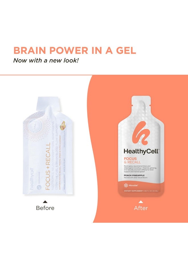 Healthycell Focus & Recall, Daily Liquid Brain Supplement for Focus & Memory - Nootropics Supplement for Concentration & Alertness with L-Theanine, Omega-3 & Taurine - 30 Gel Packs - Image 1