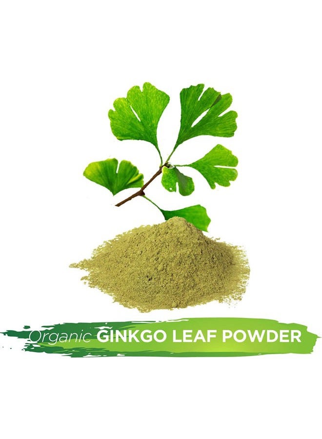 مسحوق أوراق الجنكو بيلوبا البرية 16 أونصة من متجر الأعشاب بلومين بدون إضافات وبدون مواد كيميائية شاي - Image 3