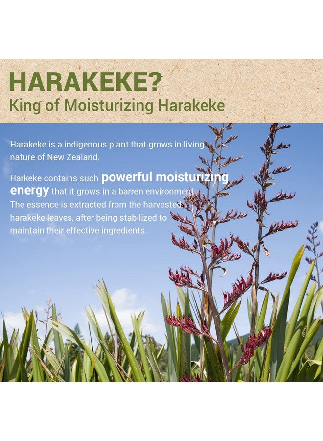 THESAEM Urban Eco Harakeke Ampoule 1.52 fl.oz. - Vegan Moisturizing Face Serum with Harakeke Extract and Hyaluronic Acid - Hydrating Ampoule to Strengthen Skin Barrier - Image 3