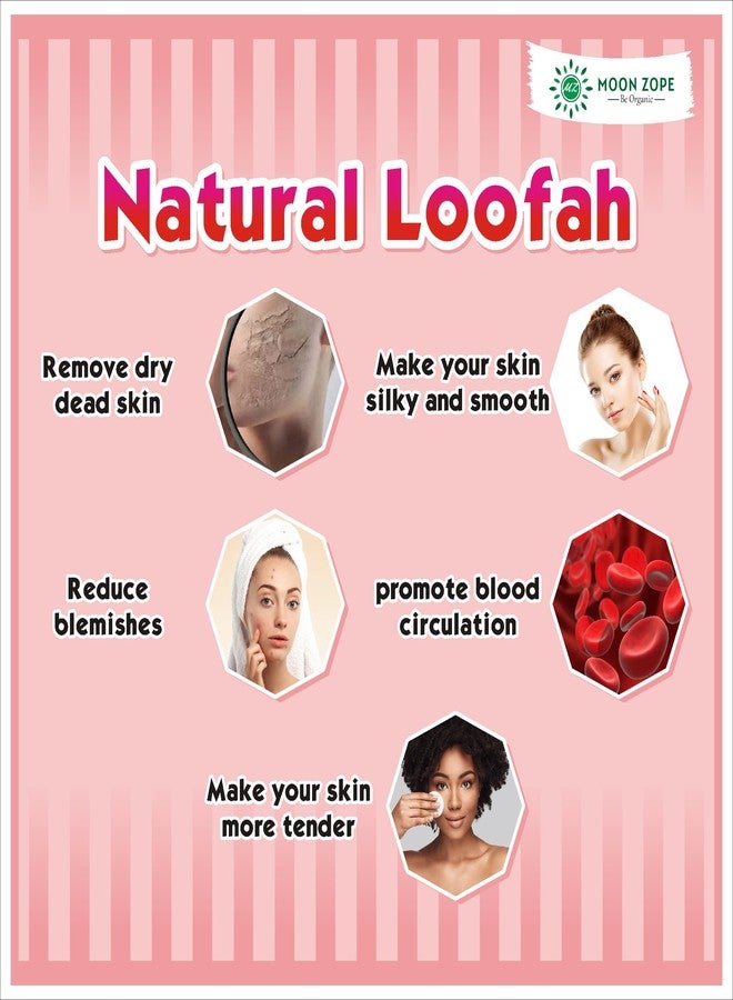 MOON ZOPE Natural Loofah For Bathing | Organic Oval Lufa For Men and Women | Body Sponge and Scrubber | Eco Friendly | Chemical Free | Light Weight (Pack of 8) - Image 4