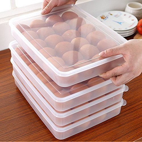 Inditradition Refrigerator Egg Tray Holder with Cover | for 24 Eggs, Plastic, Transparent (Pack of 1) - Image 2