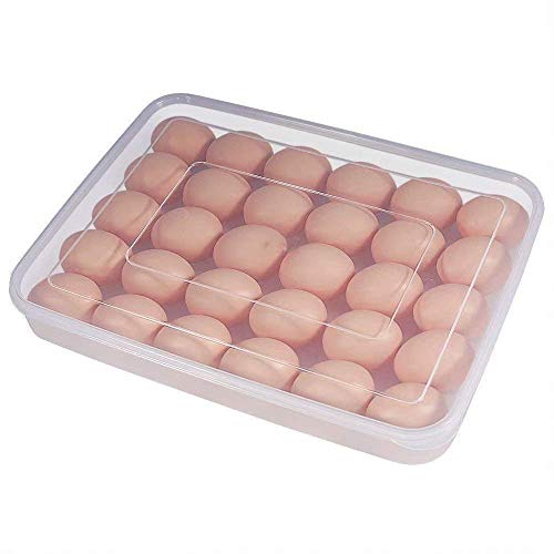Inditradition Refrigerator Egg Tray Holder with Cover | for 24 Eggs, Plastic, Transparent (Pack of 1) - Image 1