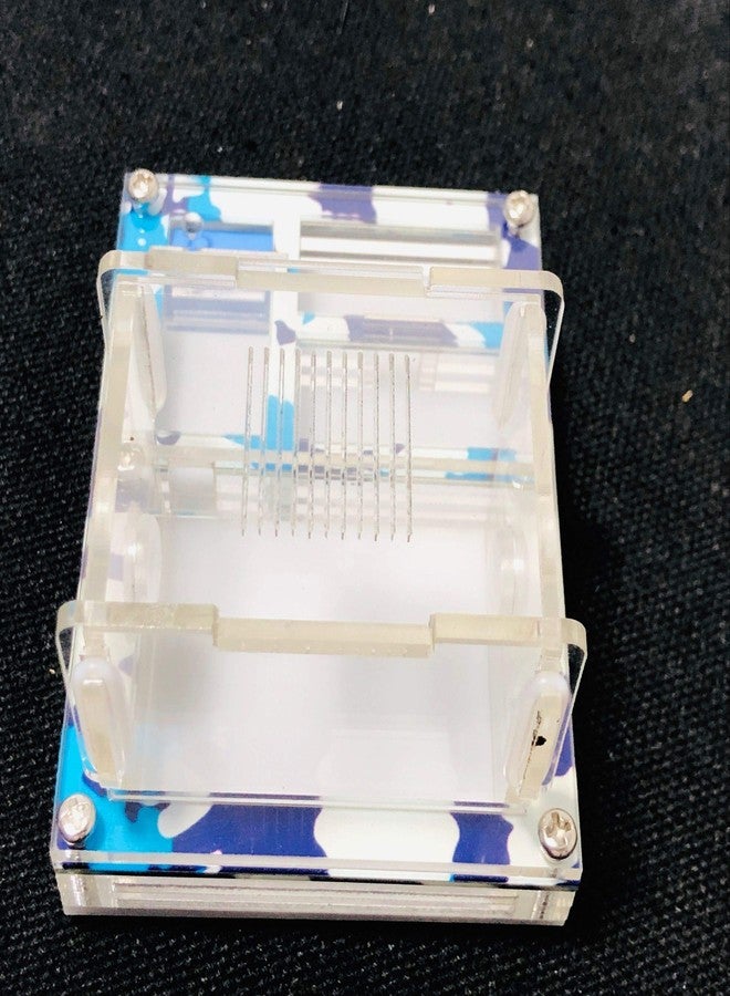 ANT Mini DIY Acrylic Flat Farm Nest with Feeding Area House for Queen Laying Eggs Anthill with Moisturizing Zone (Summer) - Image 3