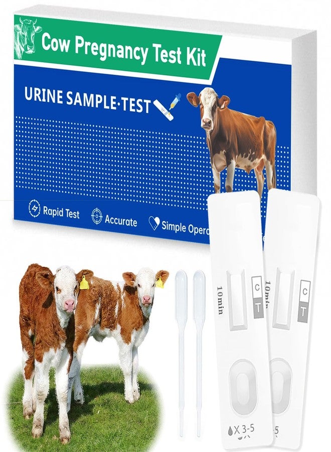 Non-Invasive Bovine Pregnancy Test Kit (2 Pack) - Painless Urine Test for Cattle, Stress-Free Early Detection, Fast Results in 5-10 Mins, Safe & Hygienic for Dairy & Beef Farms - Image 1
