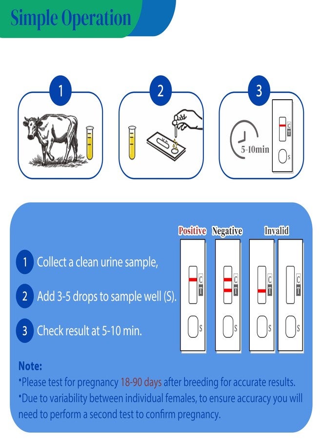 Non-Invasive Bovine Pregnancy Test Kit (2 Pack) - Painless Urine Test for Cattle, Stress-Free Early Detection, Fast Results in 5-10 Mins, Safe & Hygienic for Dairy & Beef Farms - Image 5