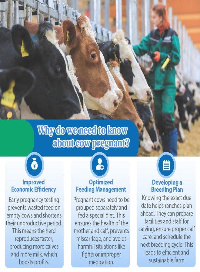Non-Invasive Bovine Pregnancy Test Kit (2 Pack) - Painless Urine Test for Cattle, Stress-Free Early Detection, Fast Results in 5-10 Mins, Safe & Hygienic for Dairy & Beef Farms - Image 3