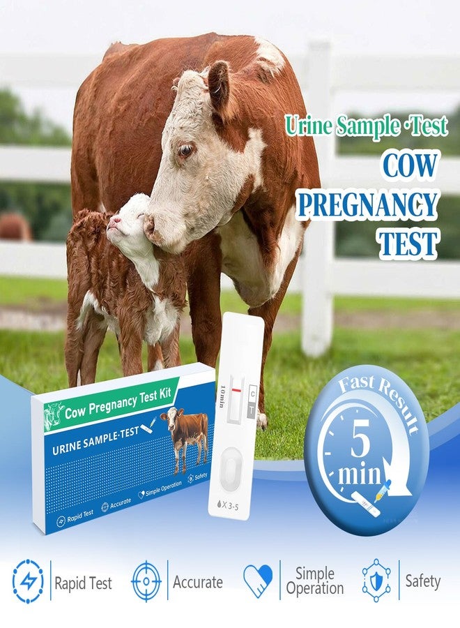 Non-Invasive Bovine Pregnancy Test Kit (2 Pack) - Painless Urine Test for Cattle, Stress-Free Early Detection, Fast Results in 5-10 Mins, Safe & Hygienic for Dairy & Beef Farms - Image 2