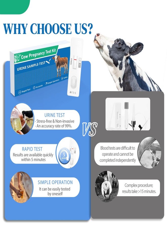 Non-Invasive Bovine Pregnancy Test Kit (2 Pack) - Painless Urine Test for Cattle, Stress-Free Early Detection, Fast Results in 5-10 Mins, Safe & Hygienic for Dairy & Beef Farms - Image 4