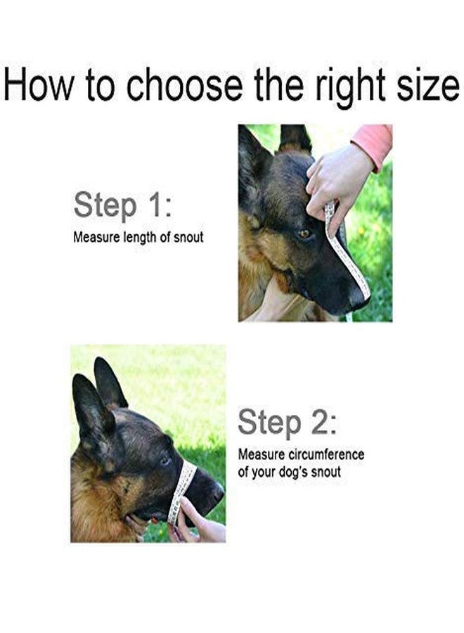 D&C PAWS Dog Metal Wire Mouth Cover Muzzle/Bite Guard with Adjustable Leather Strap Muzzle Ideal for Stopping Biting/Barking Dogs & Puppies (Multicolor, Large) - Image 3