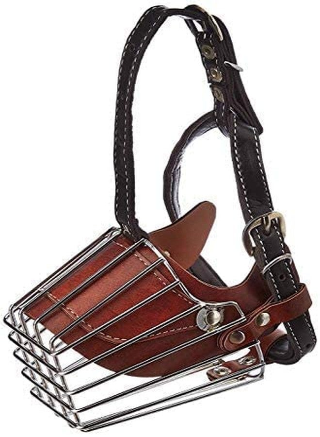D&C PAWS Dog Metal Wire Mouth Cover Muzzle/Bite Guard with Adjustable Leather Strap Muzzle Ideal for Stopping Biting/Barking Dogs & Puppies (Multicolor, Large) - Image 1
