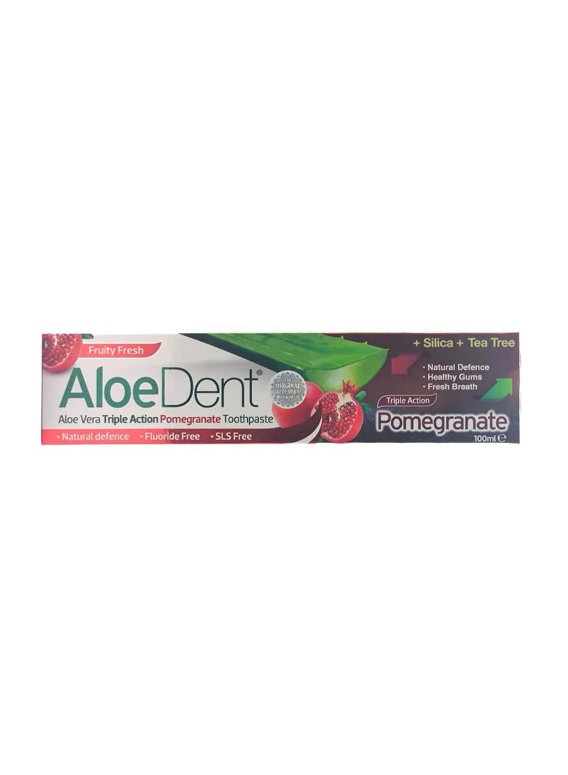 AloeDent Aloe Vera Triple Action Pomegranate Toothpaste 100 ml - Image 1