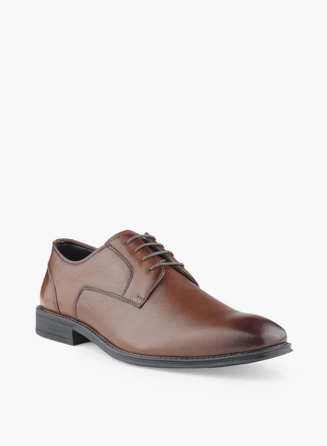 LBL by Shoexpress Men Lace-Up Leather Derby Shoes